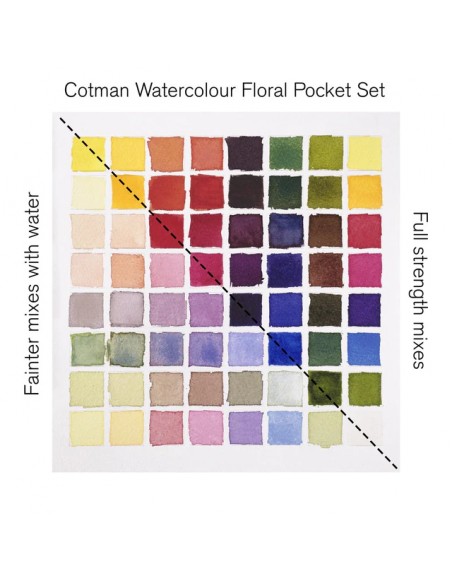 SET ACUARELA COTMAN "FLORAL" WINSOR AND NEWTON