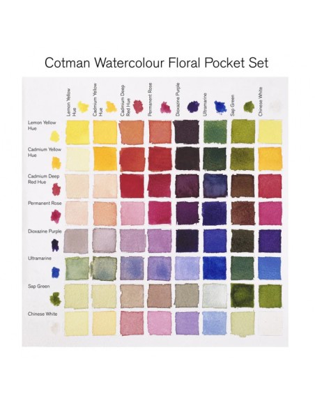 SET ACUARELA COTMAN "FLORAL" WINSOR AND NEWTON